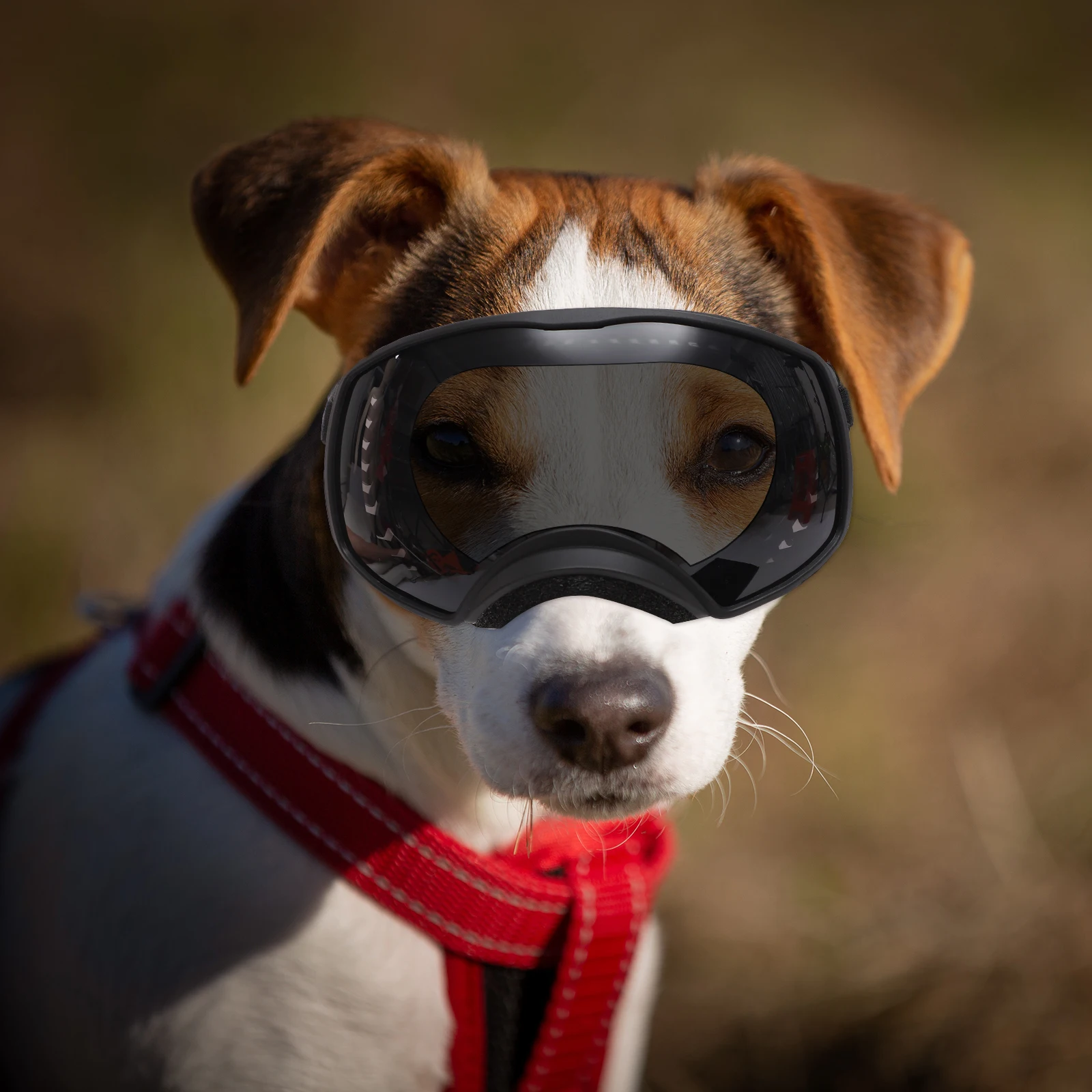 

Dog Goggle Large Medium Size Windproof Pet Goggle Uv Protection Dog Glasses Outdoor Goggles for Dogs Goggles for Dogs