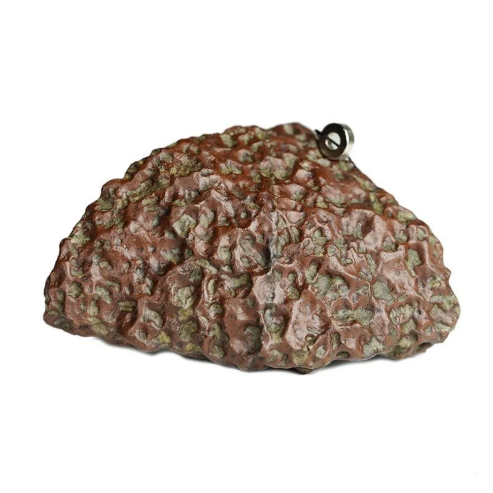 

Natural Gangou Dragon Scale Meteorite, Original Stone, Cosmic Meteorite Product, Hand Handle, Playing ornament