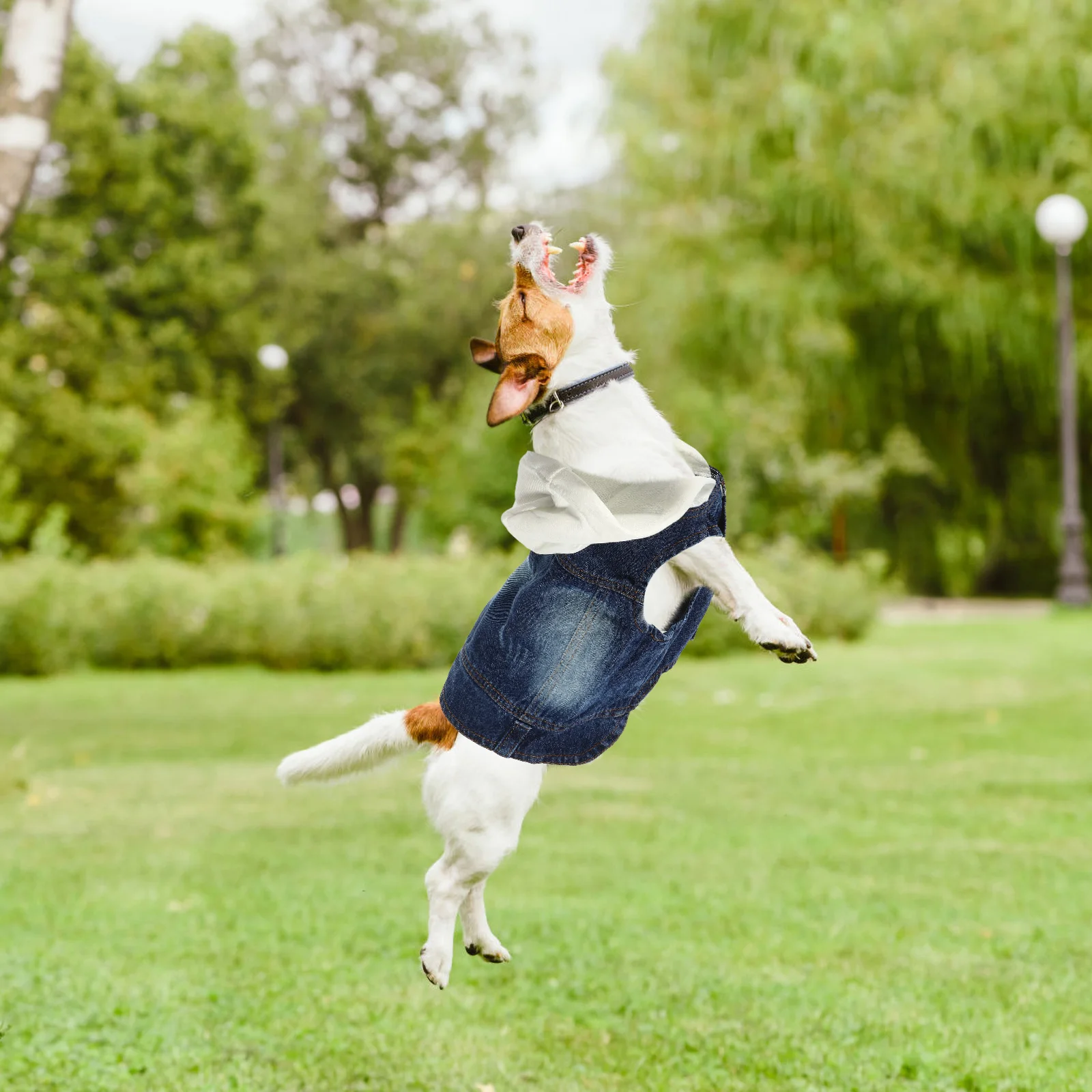 

Pet Vest Dog Vests Denim Cooling for Dogs Doggie Sweater Jean Clothes Summer Demin Shirt Small Spring and