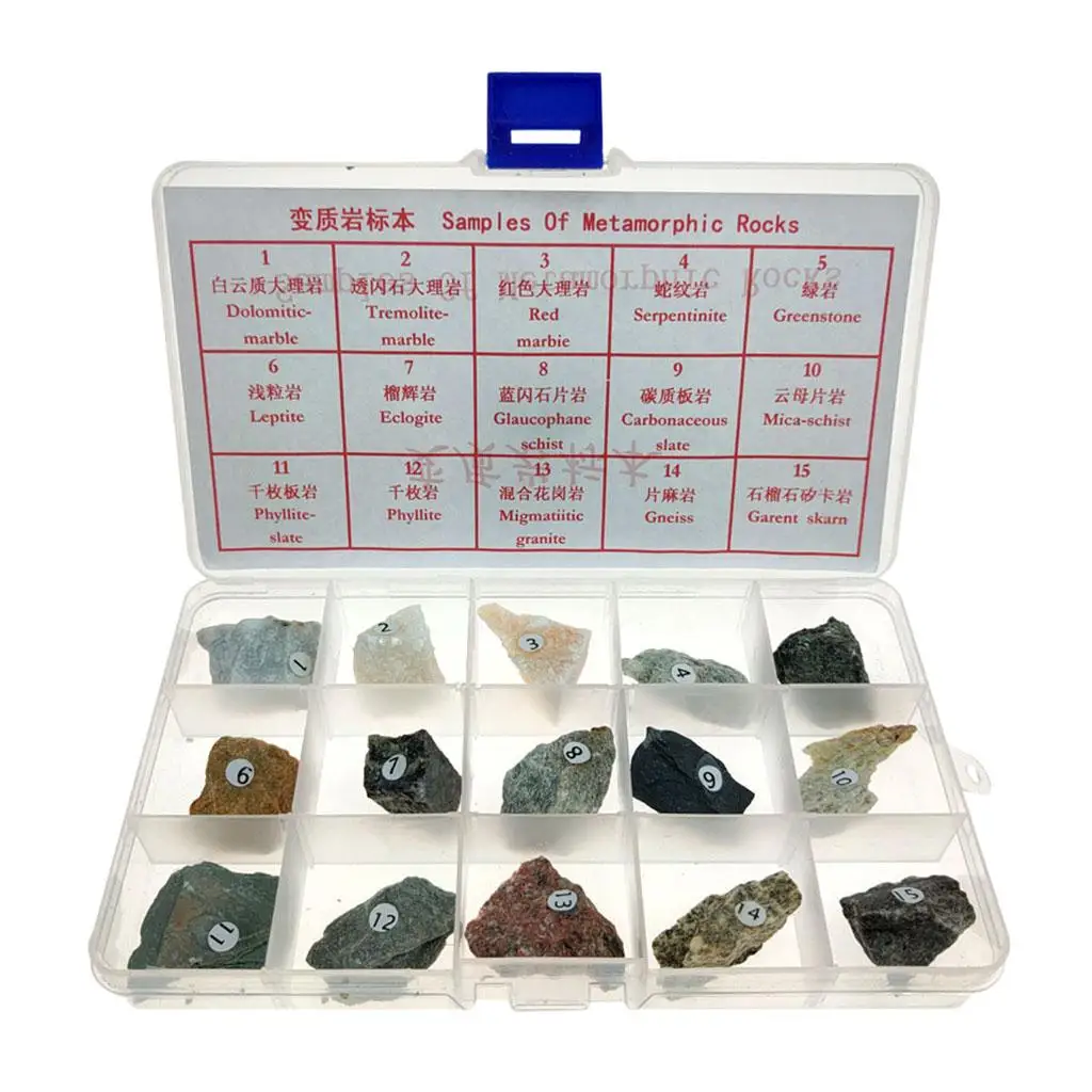 Metamorphic Rock Specimen Metamorphic Teaching Aid Supplies w/ Box Ages 8 up