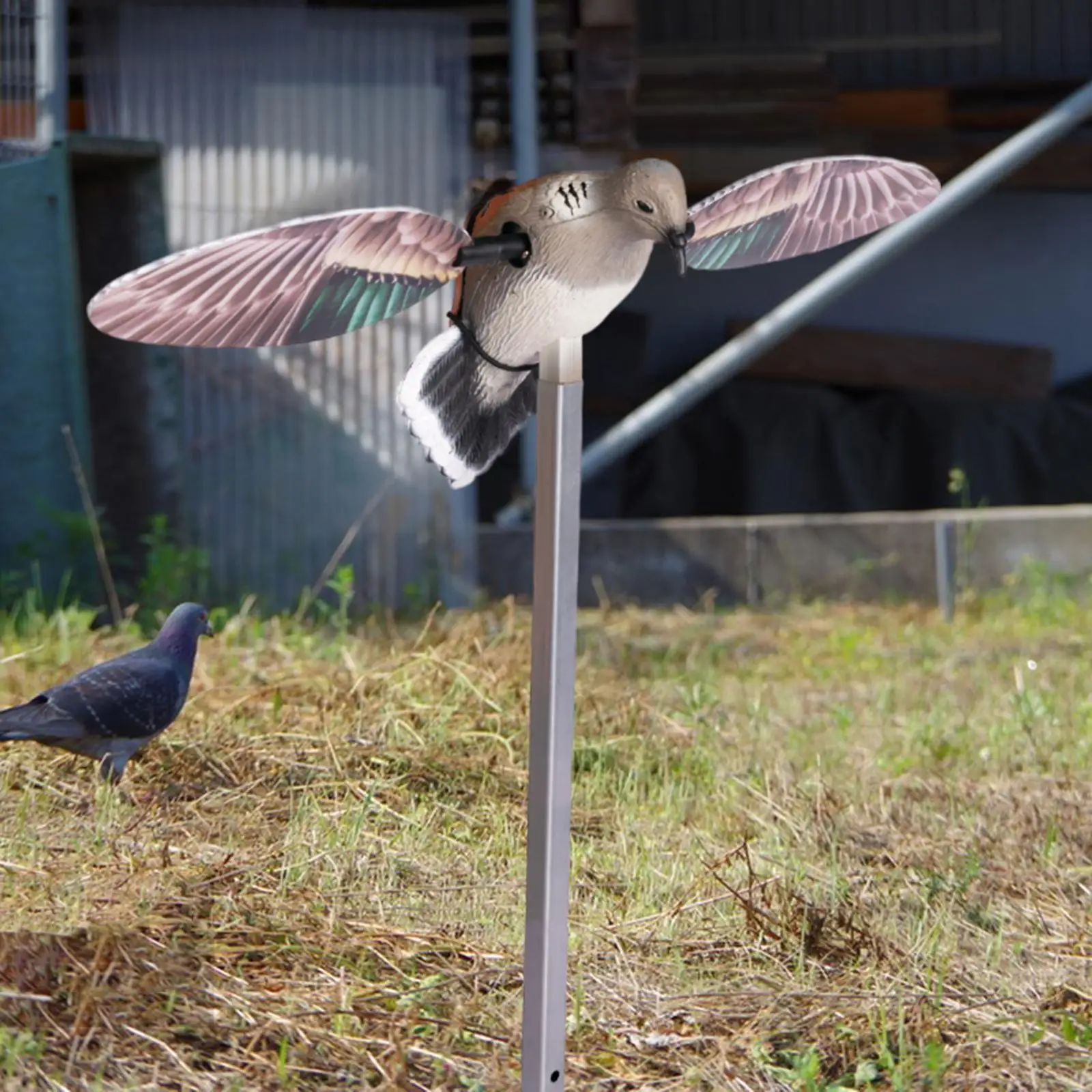 

Outdoor Hunting Dove Decoy Realistic Metal Support Pole Versatile 22x10inch