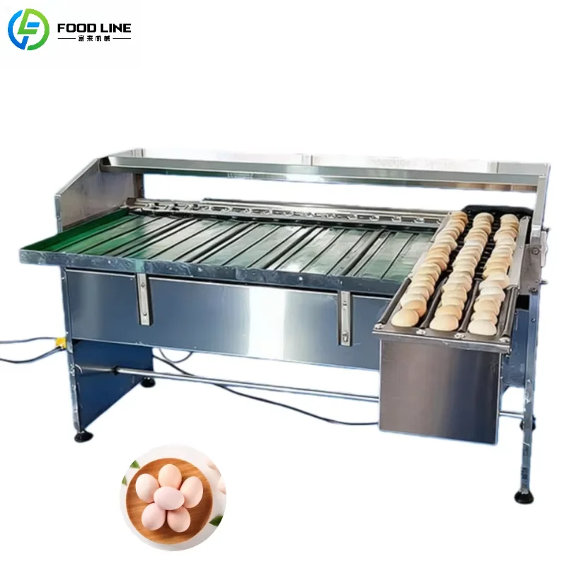 Customized Egg Grading Machine Automatic Multi Grade Egg Sorter Accurate Weight Classification for Chicken Eggs