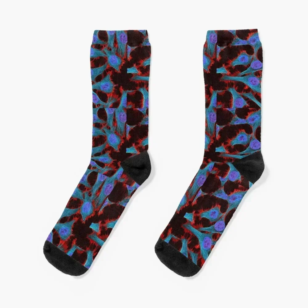 HeLa cells from Henrietta Lacks Socks FASHION sheer kawaii funny gift Socks Girl Men's