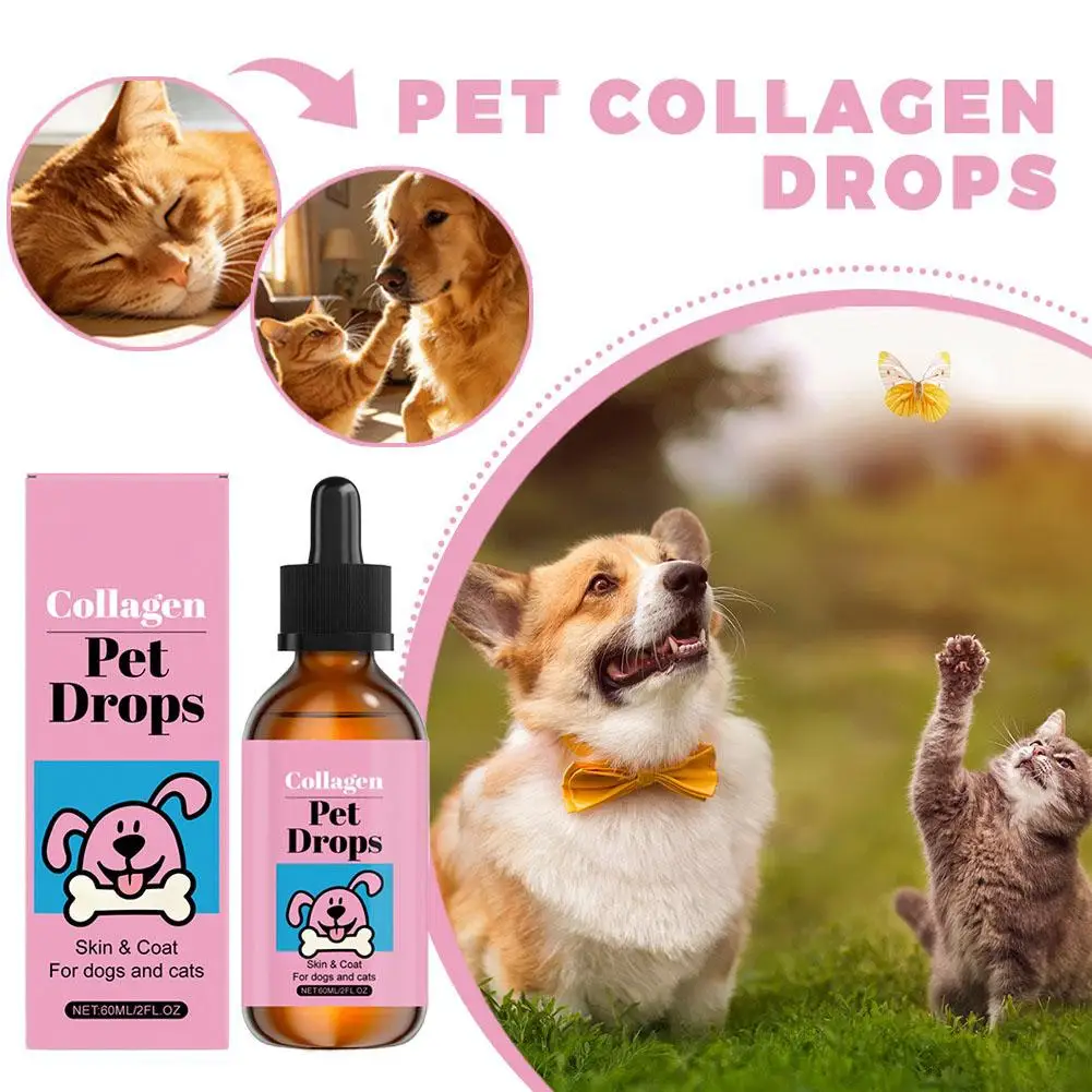 Multi Care Pet Collagen Oral Drops für Hunde und Katzen, für Haare, Haut und Gelenkgesundheit, tägliche Nahrungsergänzung, Tierpflegeprodukt