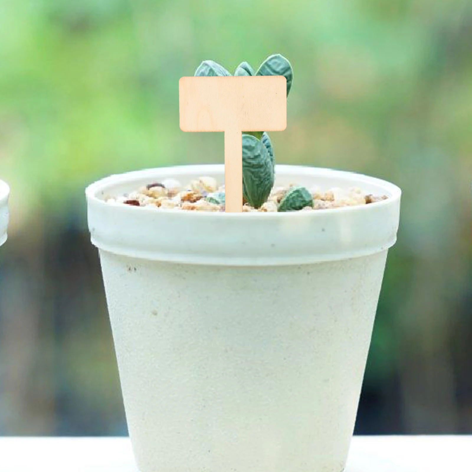 

20pcs Wood Plant Labels for Succulents Flowers Garden Markers Signs Wooden Stakes Easy Insert Bulk Accessories Tree Tags
