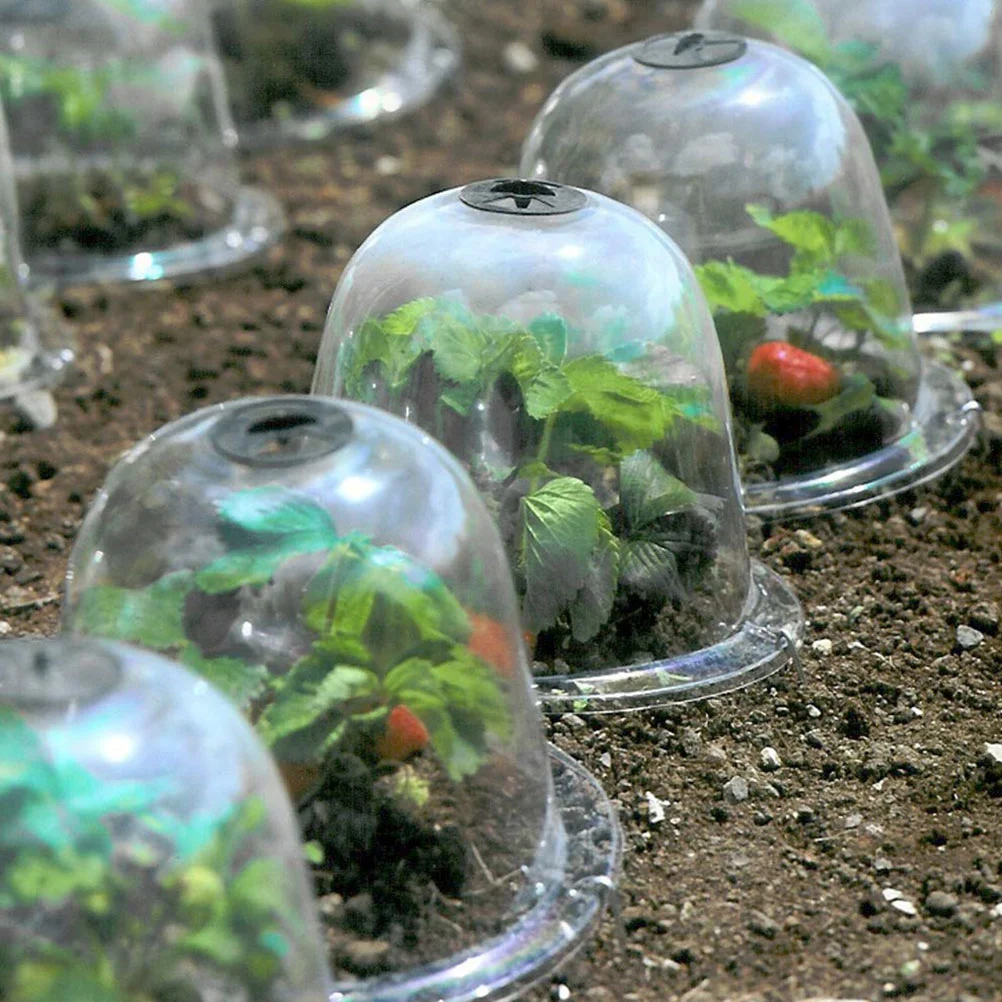 Happy Yami Gemüsebehälter für den Garten, Cloche, Kuppel, Pflanzenglockenabdeckungen, wiederverwendbarer Mini-Gewächshaus-Frostschutz aus Kunststoff