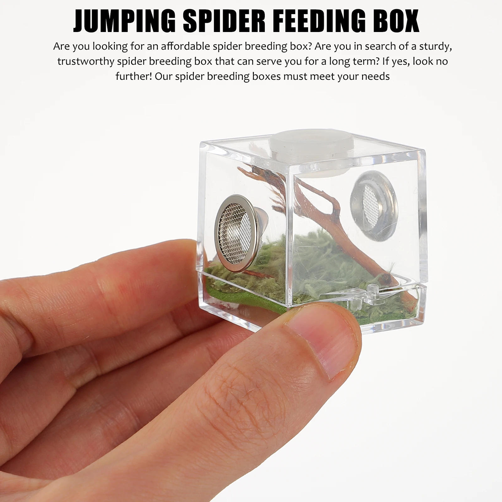 

Jumping Spider Breeding Box Enclosure Hideout Habitat Cage Encloser Home Miniature with Light