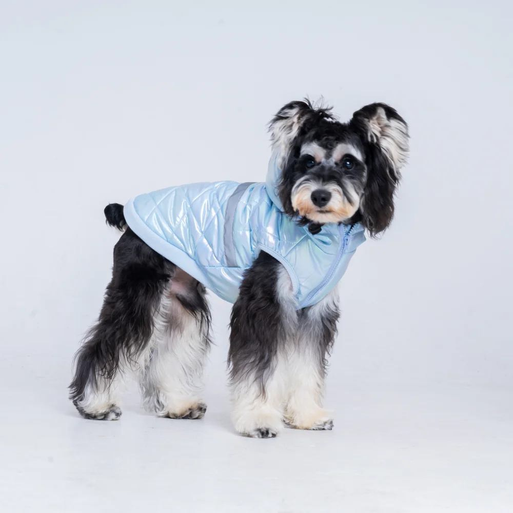 winter costume for dogs Puppy Autumn clothes with hoodie Waterproof  Puppy Pet Chihuahua Yorkie Pug Outfits