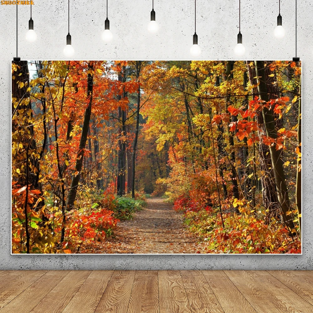 

Autumn Maple Forest Background Fall Rustic Yellow Tree Leaves Kids Adults Thanksgiving Portrait Photography Backdrop Banner Prop