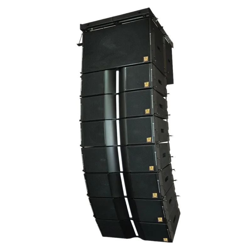 Professional Dual 12 Inch Line Array Speaker System for Music Halls and Performance Auditoriums