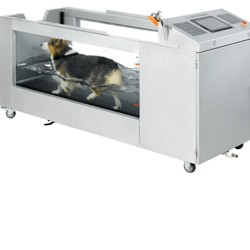 Pet Veterinary Underwater Treadmill Dog Spa Treadmill Electric Veterinary Underwater Treadmill