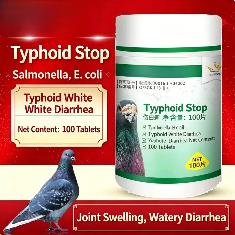 Pigeon Typhoid Fever Stop Supplement for Birds - Salmonella Infection Support Green Stool Joint Swelling Enteritis Diarrhea Reli