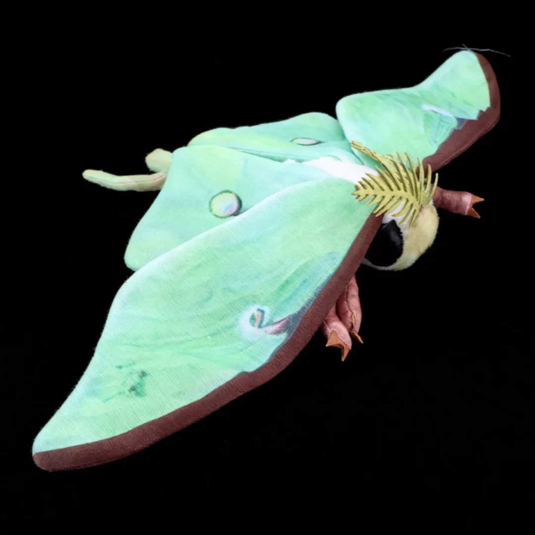 Beautiful Insect Plush Toys Rosy Maple Moth Plush and Luna Moth Plush Birthday Gift for Insect Enthusiast Kids Moth Toys