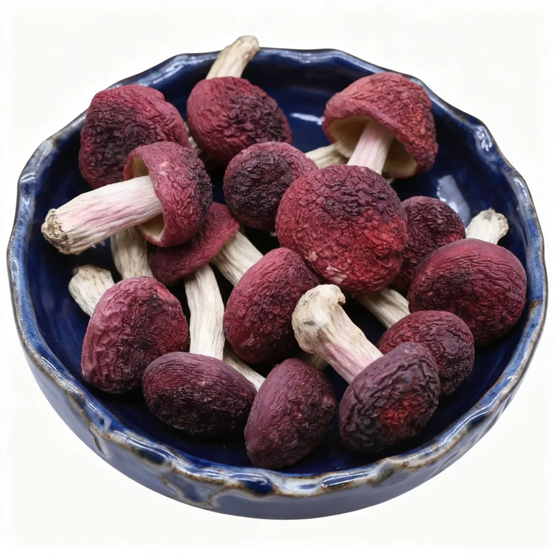 Natural China Yunnan Various Special Grade Wild Mushroom Russula Dried Mushroom Usd for DIY Resin Raw Material Photography Props