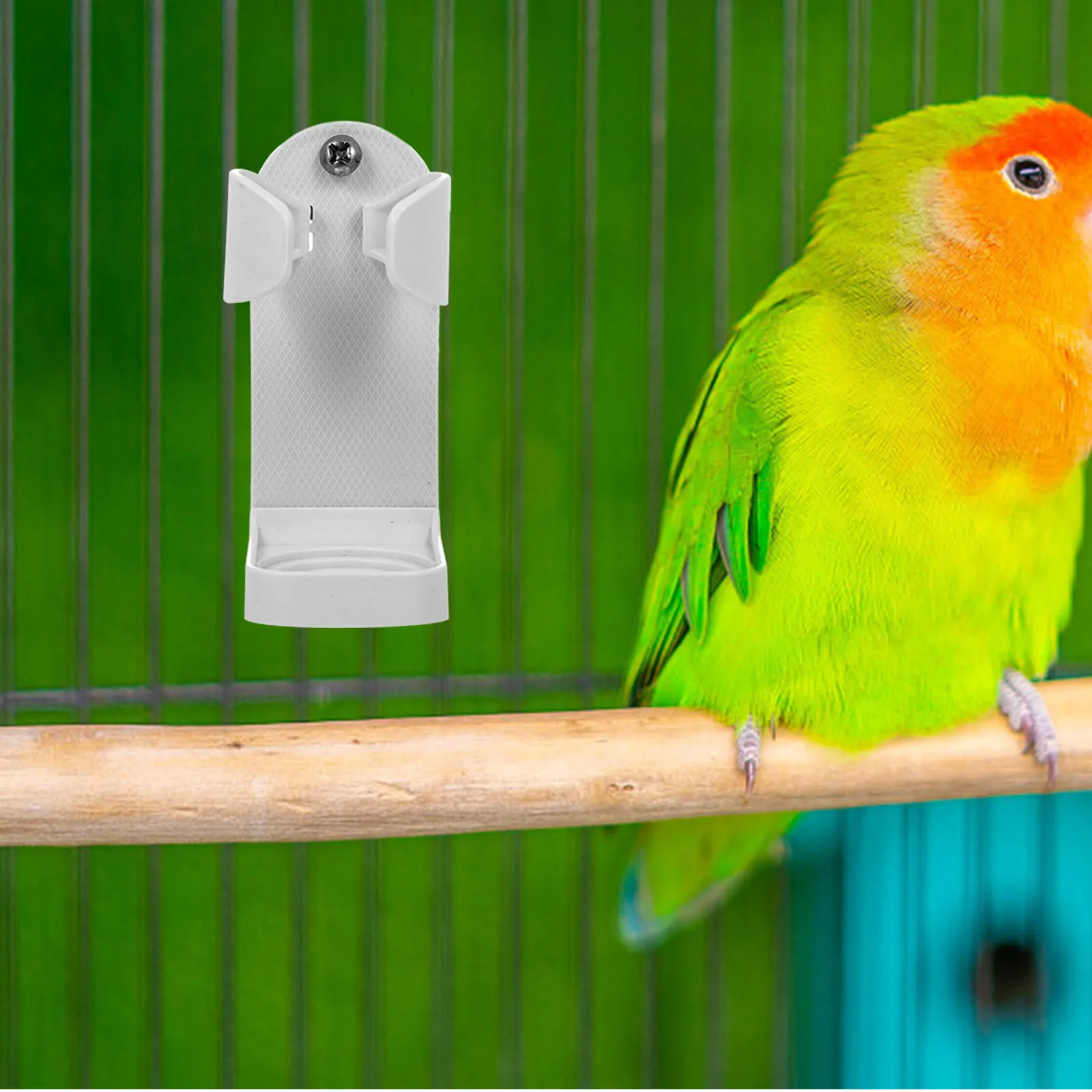 

3Pcs Parrot Vegetable Clips Bird Cage Food Holders Plastic Fruit Clips Easy Install Bird Food Storage Clamps Parrot Supplies