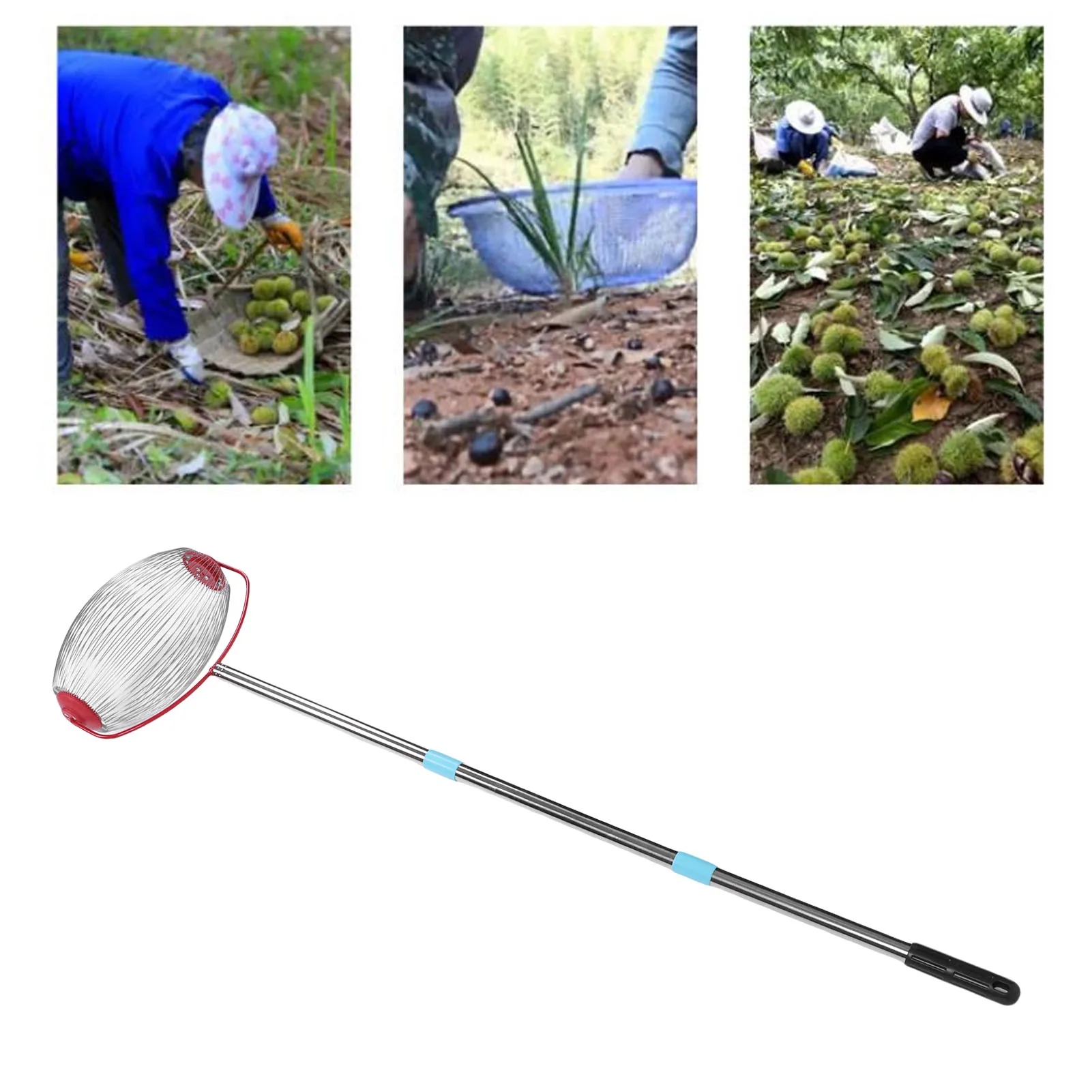 44.7 Inch 3 Section Rolling Nut Gatherer Stainless Steel Multifunctional Acorn Picker Upper Roller for Pecans Walnuts Outdoor