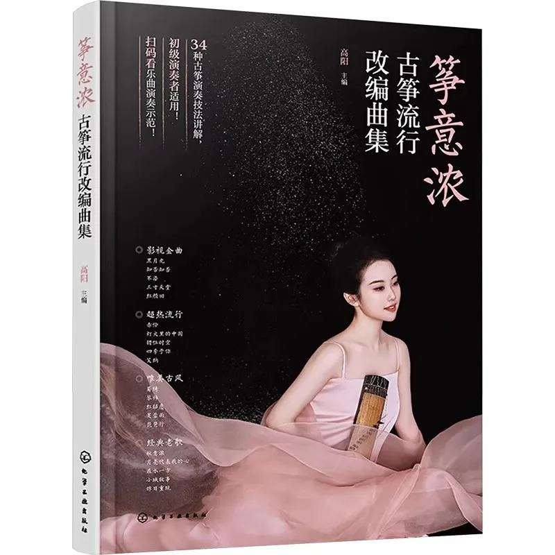 Guzheng Popular Song Adaptations Sheet Music Tutorial Book