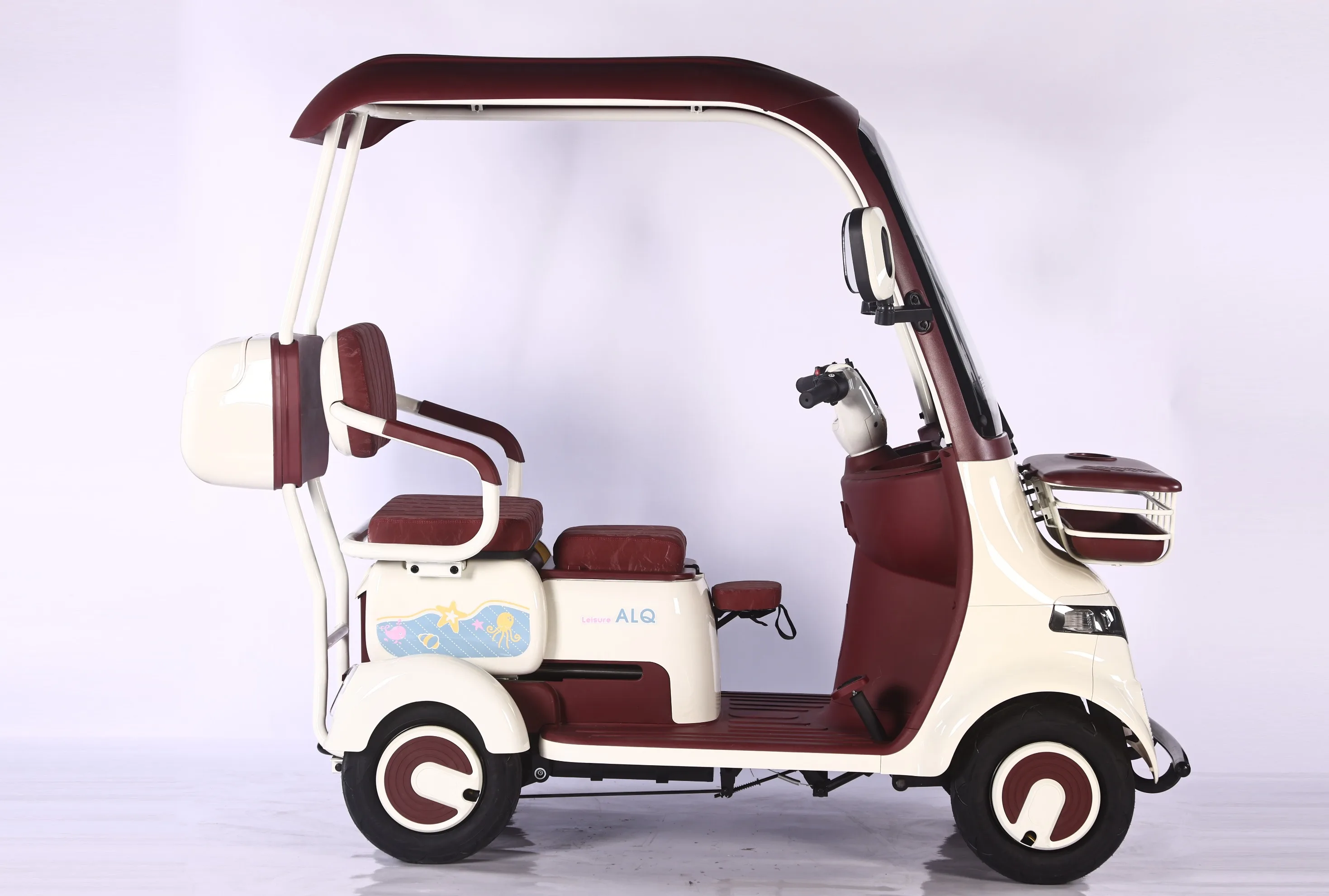 2026 Factory New  Model Electric Four-wheeled Vehicle  Integrated Roof Rainproof Mobility Scooter for Elderly  800W 1000W Motor