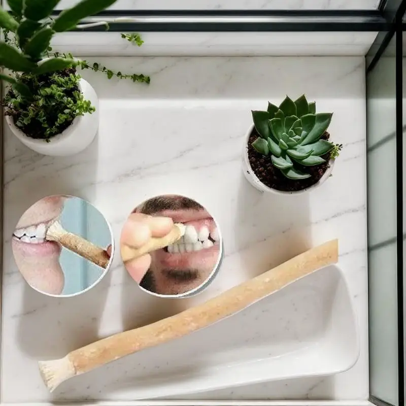 

1 шт. портативная зубная щетка Natural Miswak, традиционное отбеливание зубов и ручная палочка для ухода за зубами для путешествий