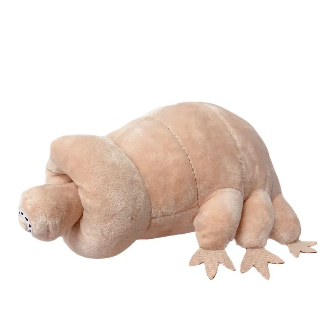 25cm Water Bear Tardigrade Plush Toy Soft Tardigrade Dolls Stuffed Animals Educational Toys for Children Kids Baby Birthday Gift