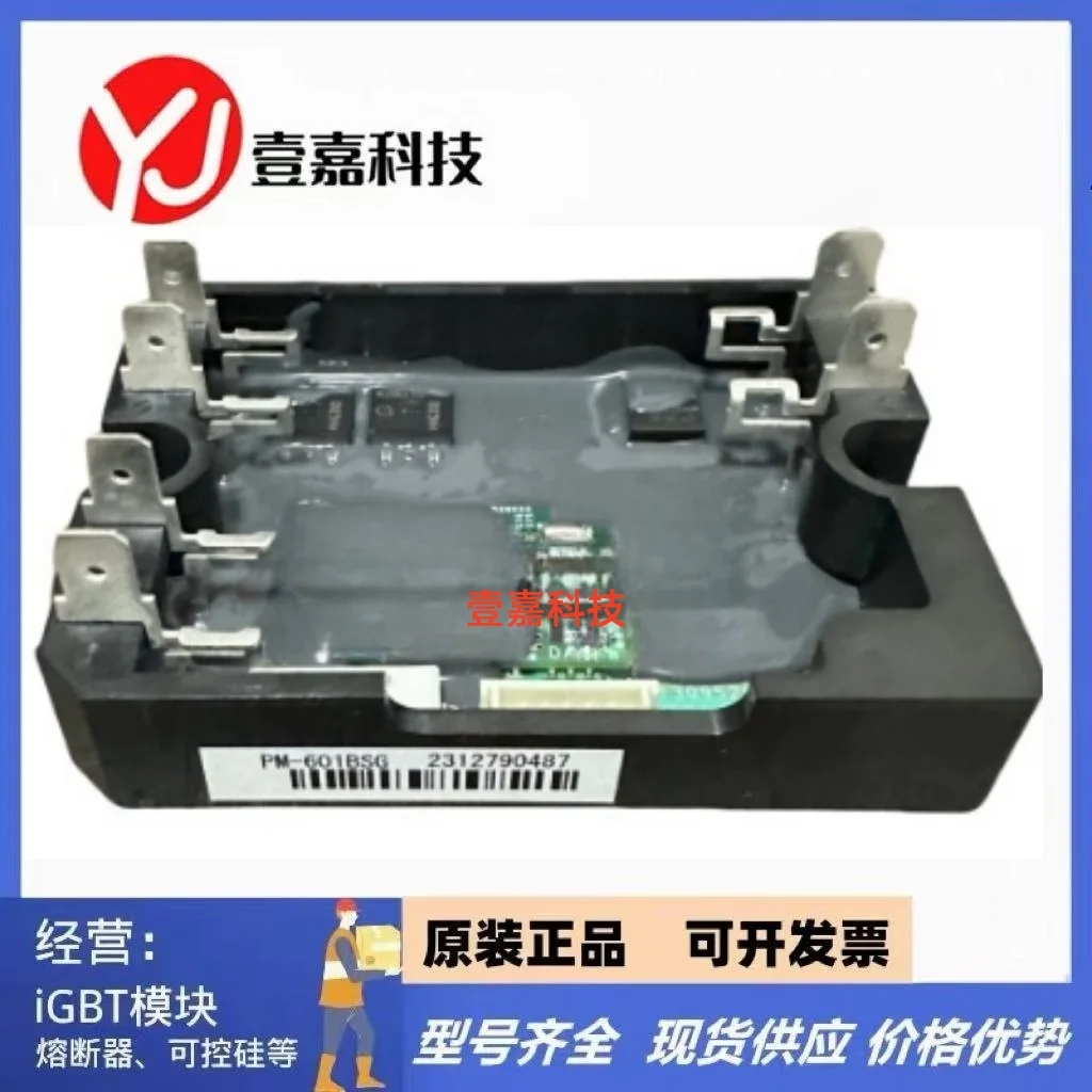 

PM-601BSG PM-60IBSG PM-601B5G