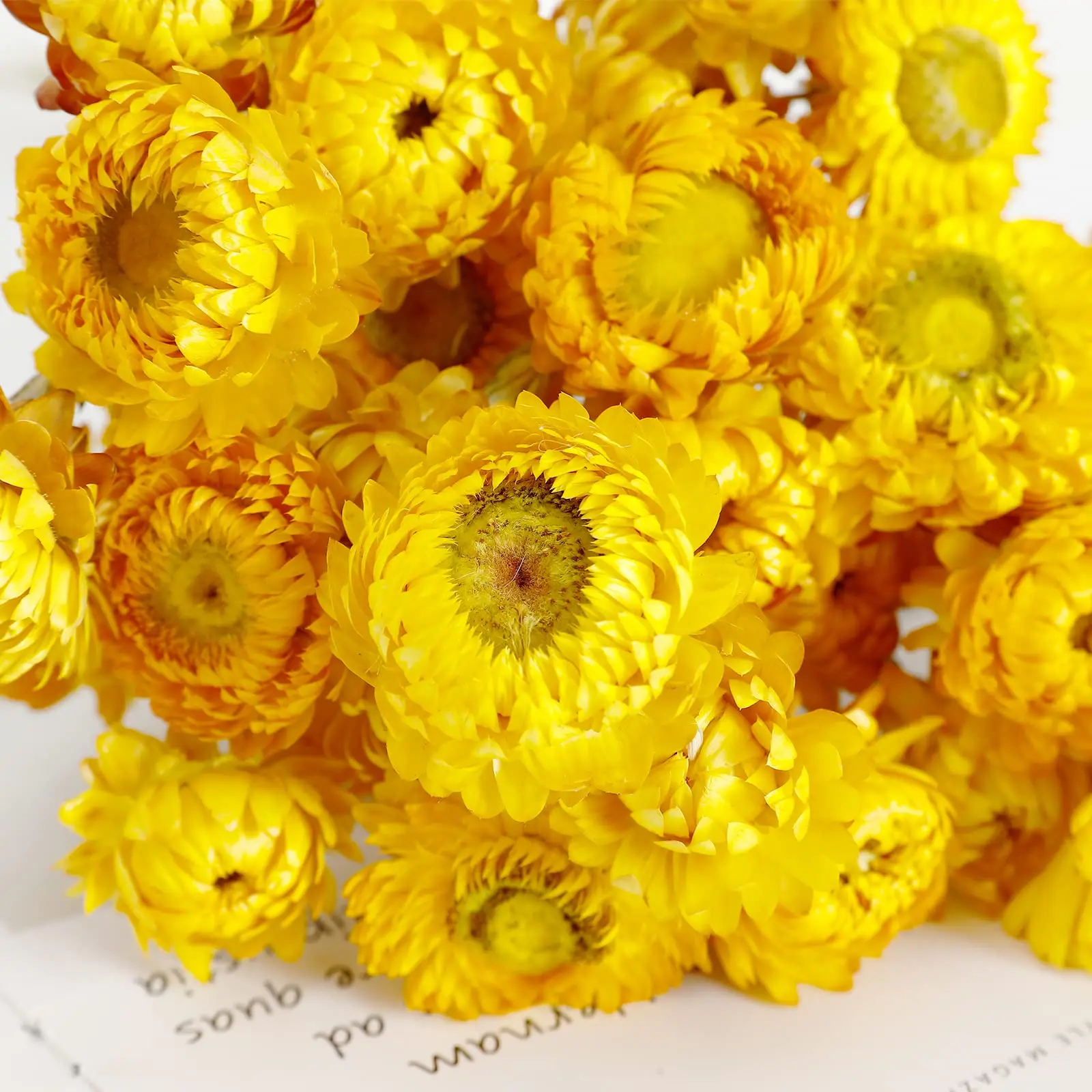 Daisy Dried Flower Bouquet 100%Natural Chrysanthemum Dry Flower for Wedding Centerpieces Home Decor DIY Bridal Bouquet Material