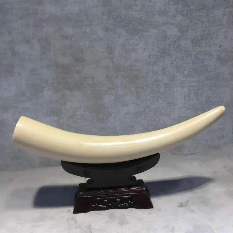 Genuine Mammoth Ivory Base Dental Decoration High-End Decoration Living Room Porch Housewarming Decoration Gift