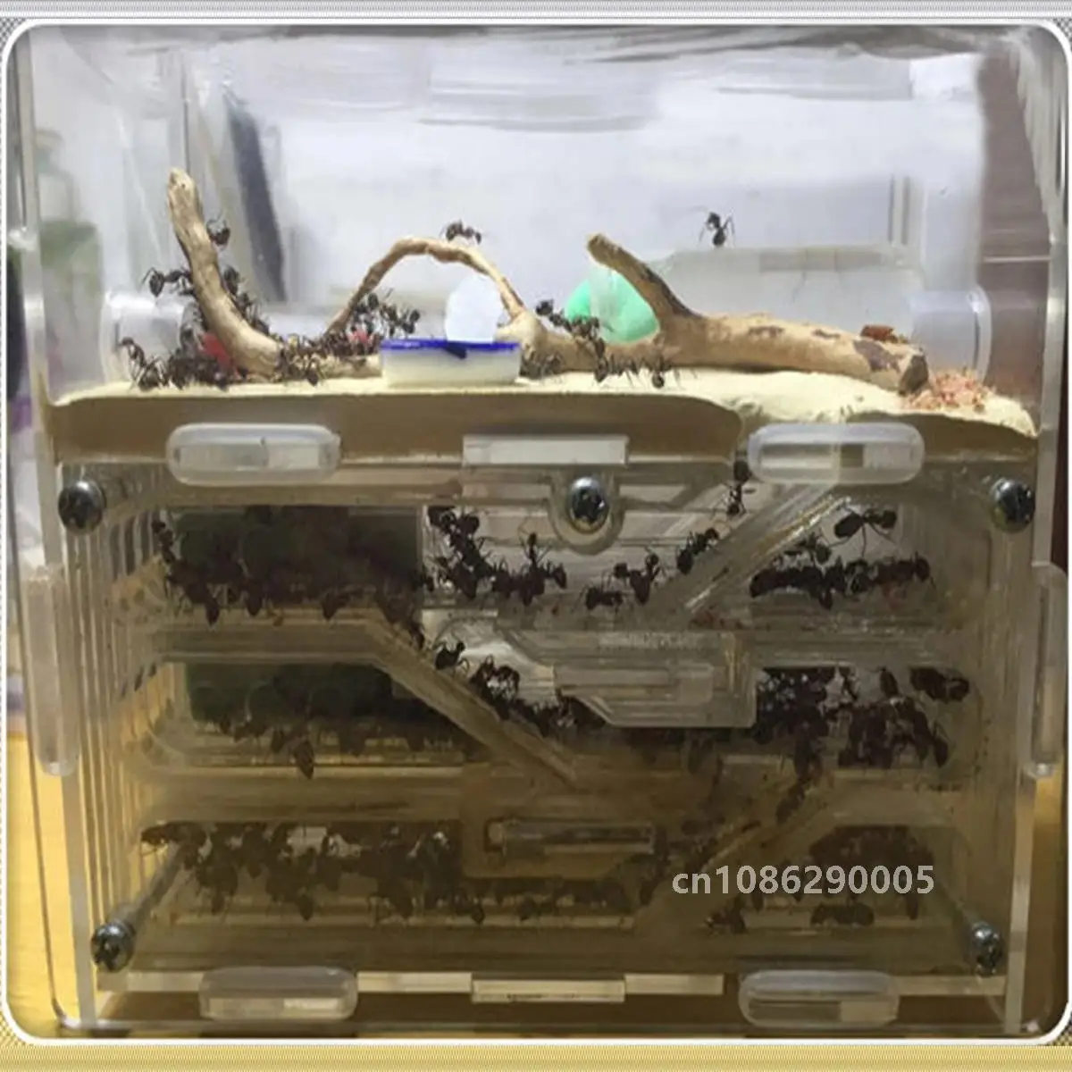 150mmx54mmx110mm Big DIY Moisture With Feeding Area Ant Nest ,Ant Farm Acrylic, Insect Ant Nests Villa PET For House Ants