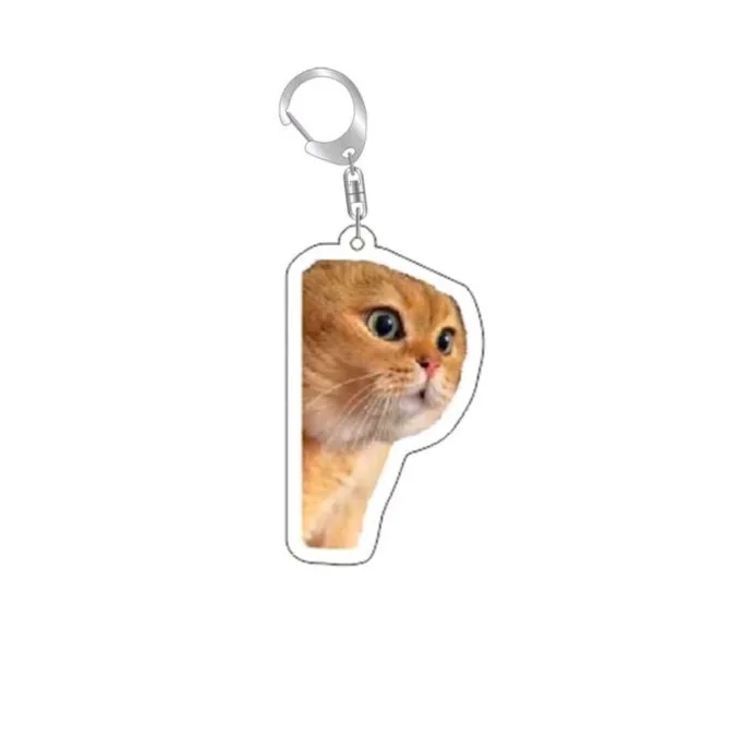 Hot Style Internet Celebrity Cat Head Expression Keychain Sand Sculpture Interesting Memes Cat Head School Bag Small Pendant view 2