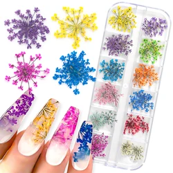 3D suchy kwiat zdobienie paznokci dekoracje prawdziwe Mini suszone kwiaty naklejki naturalny wzór kwiatowy Charms wzory DIY Manicure akcesoria do paznokci