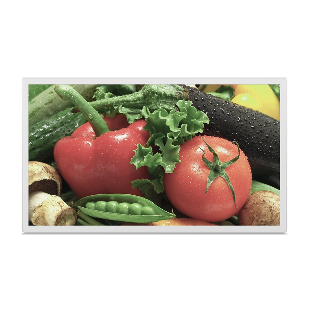 

31.5 Inch E-ink Display Outdoor Monitor Energy Conservation Big Size E Paper Display Education Eink Display Bus Advertising