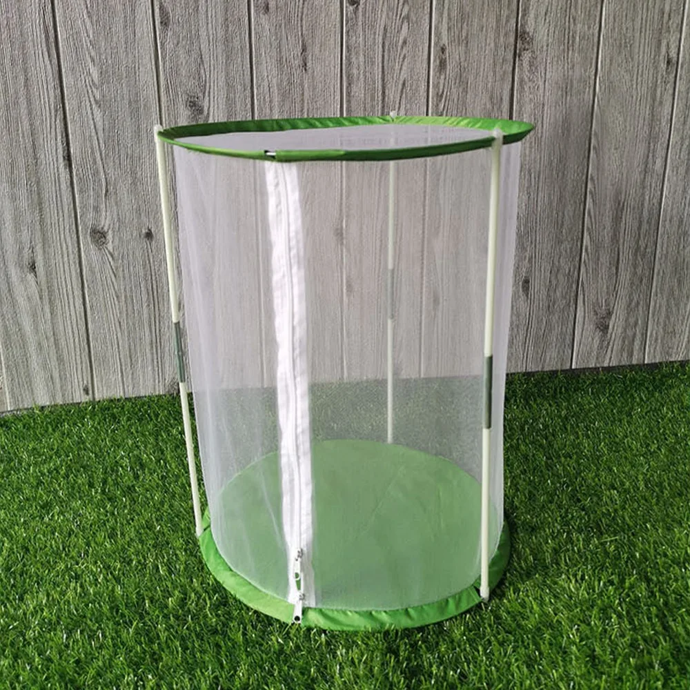 Transparent Mesh Butterfly Habitat Cage Collapsible Design Cylindrical Shape Observation Cage Zipper Closure White with Green