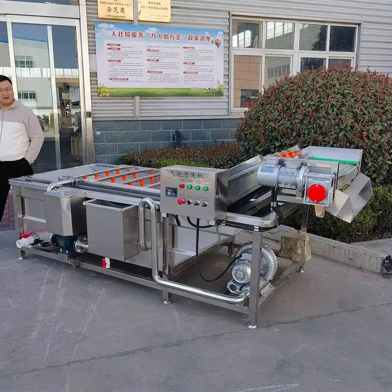 Commercial 800Kg/H 4Meters Fresh Fruit Mango Apple Cleaning Air Vegetable Bubble Washing Machine