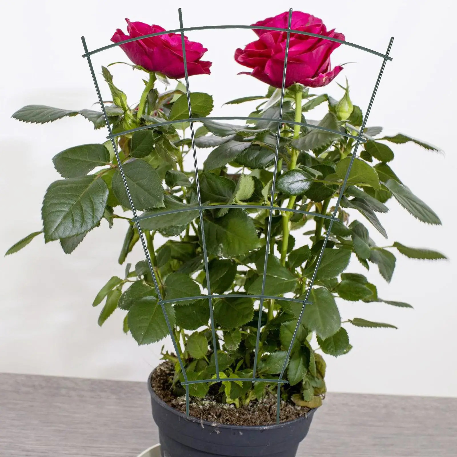 

Fixed Rod Plant Trellis for Indoor Rack Garden Support Vines Scaffolding Planting Iron Orchid Climbing Racks Peony Plants