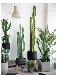 Simulation Cactus Large Plant Decoration Immortal Column Bonsai Floor Window Decoration Living Room Decoration