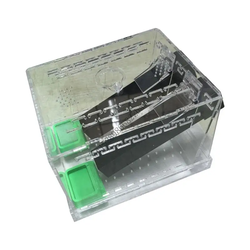 

H7EA Acrylic Cricket Keeper Tanks With Feeding Tubs And Ventilated Design For Insect Observation