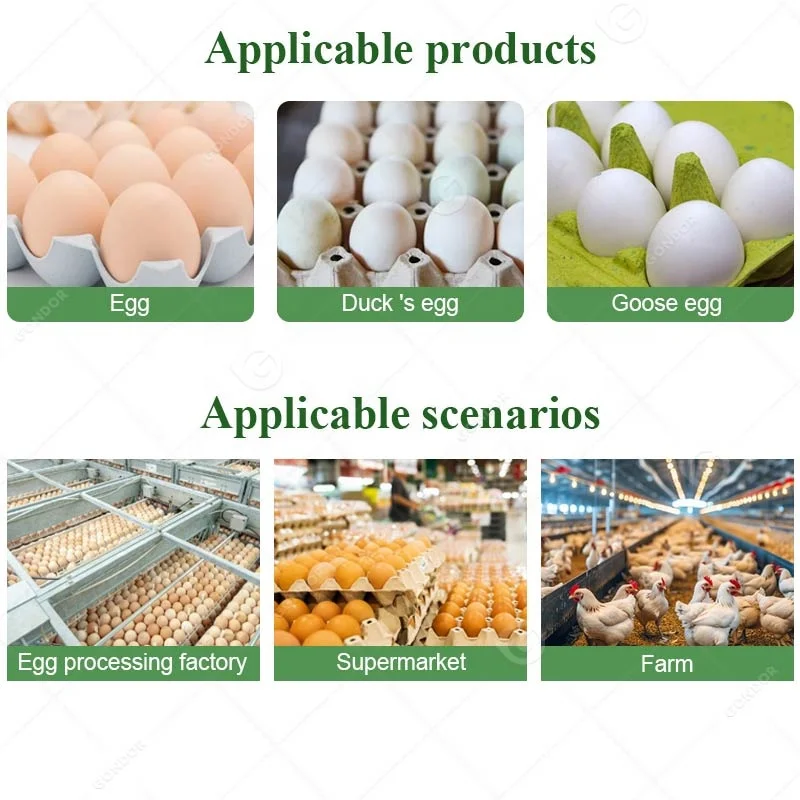 طباعة الفرز الميكانيكية سعة صغيرة Grader Egg Grader الفلبين للبيع