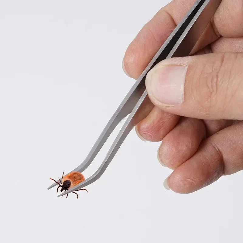 2 In 1 Stainless Steel Tick Remover Tweezers Pet Flea Lice Removal Clip Pet Parasite Cleaning Tool Safe Tick Extractor Tweezers view 3