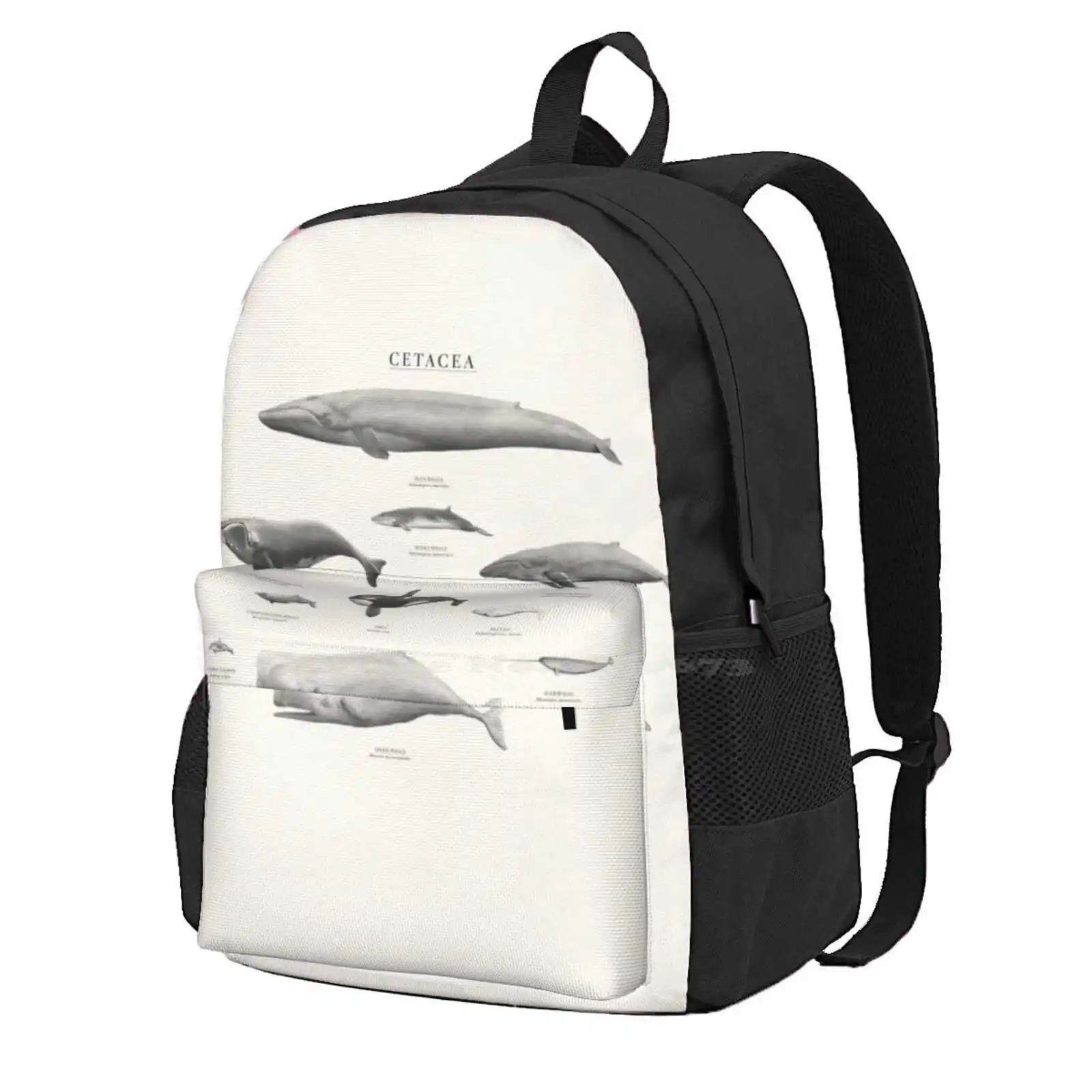 Cetacea Hot Sale Schoolbag Backpack Fashion Bags Cetaceans Dolphin Blue Whale Whale Humpback Whale Orca Killer Whale Minke