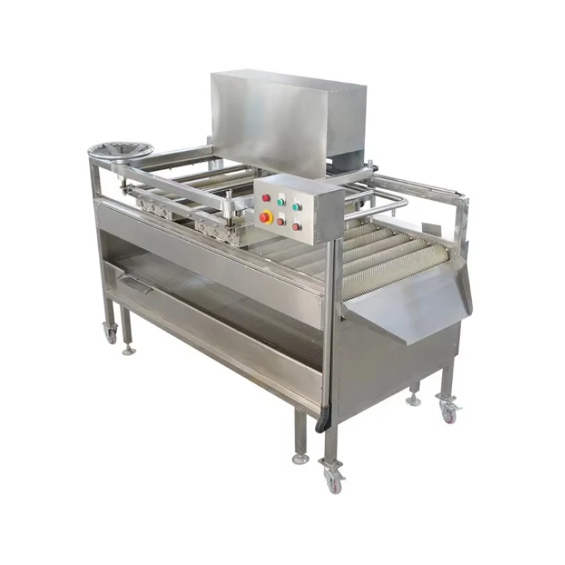 Customized Sugar Cane Washing Peeling Machine Ginger Washing Machine Sugar Cane Skin Removing Cleaning Machine