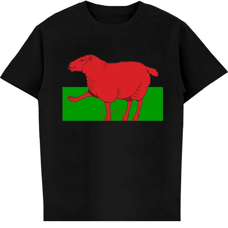 Welsh T-shirt Wales Tshirt Red Dragon Flag Cymru Sheep Cardiff Rugby Football