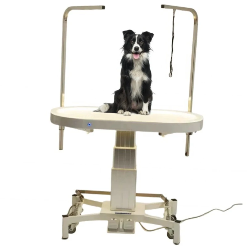 

Electric Illuminated Pet Grooming Table, Professional Lift for Dog Care