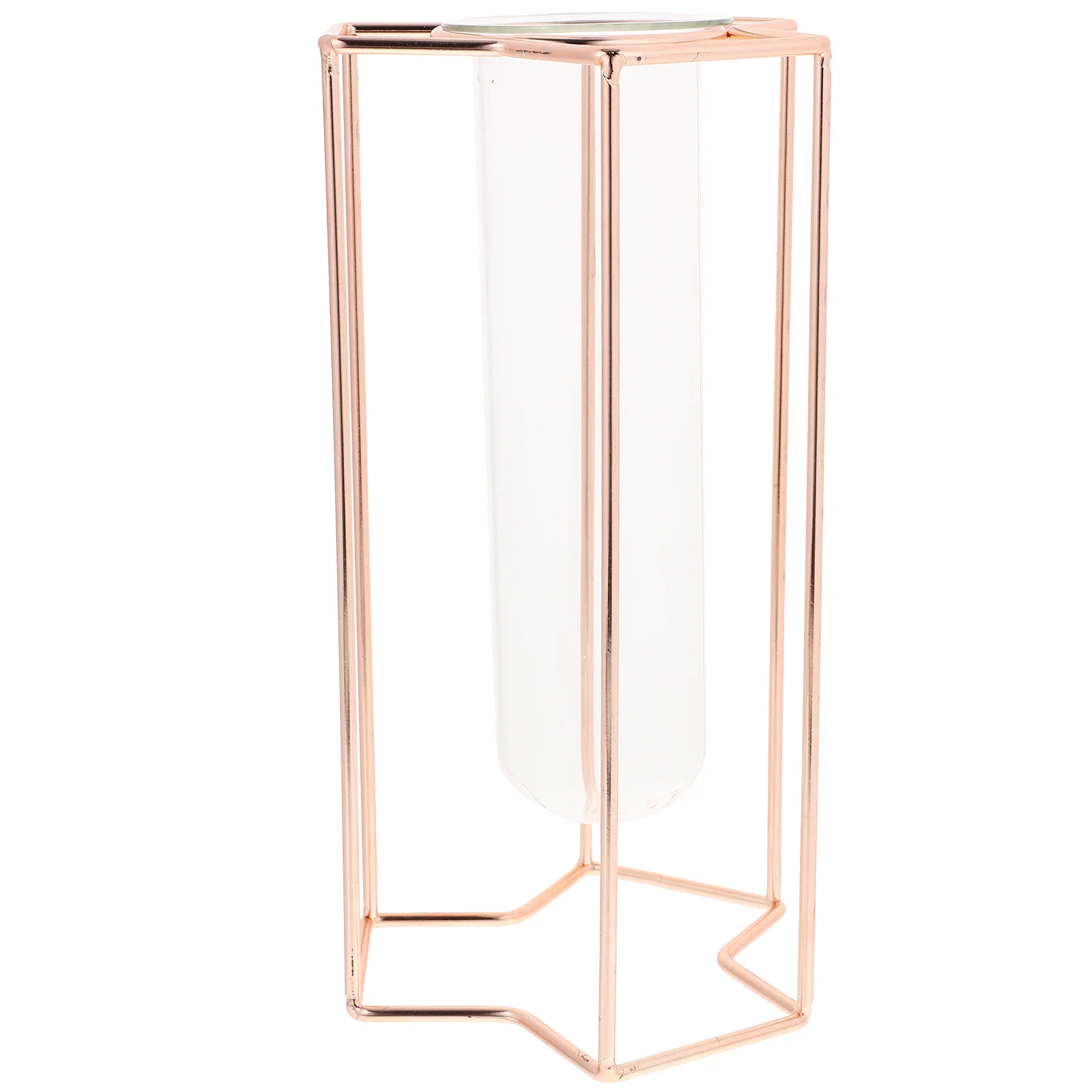 

Art Flower Vase Minimalist Glass Hydroponic Tube Iron Stand For Home Office Decor Vintage Style Transparent Planter