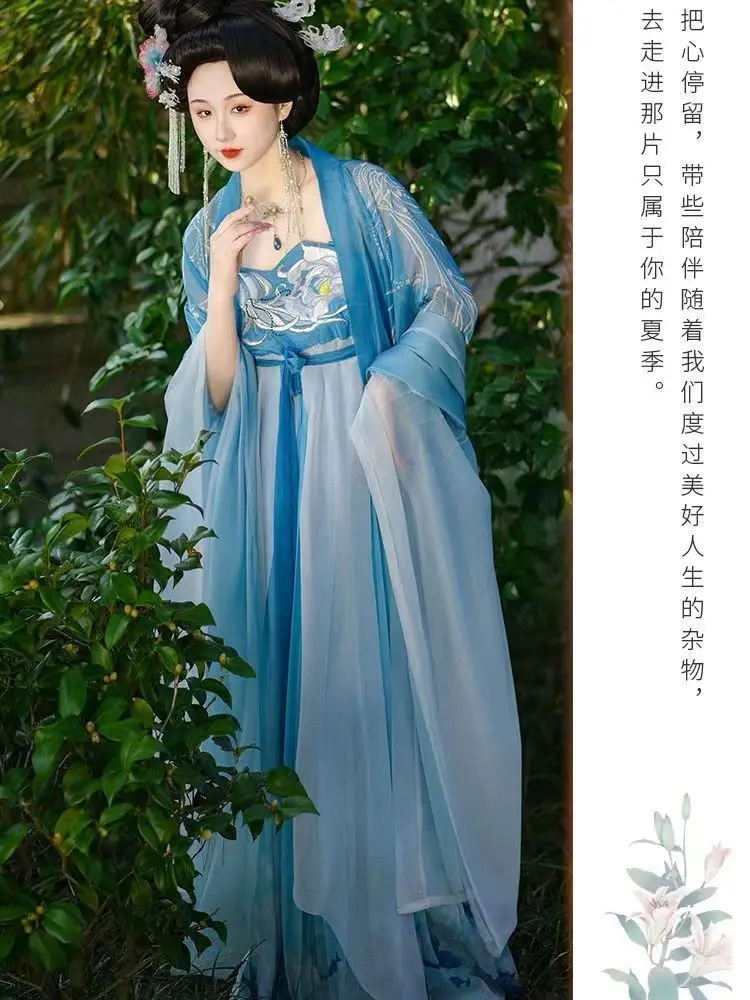 Nuovo vestito Hanfu per le donne antico cinese Tang Dynasty ricamo elegante cosplay fairy dance Hanfu dress set