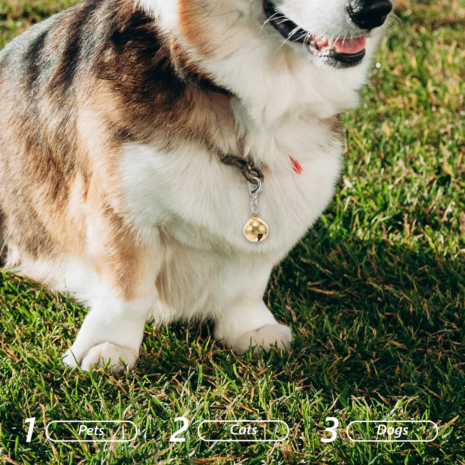 

20Pcs Pet Metal Collar Bells Colorful Clip DIY Pendant Keychain Charms for Dog Cat Collar Pet Small Bells Small Dog Bell