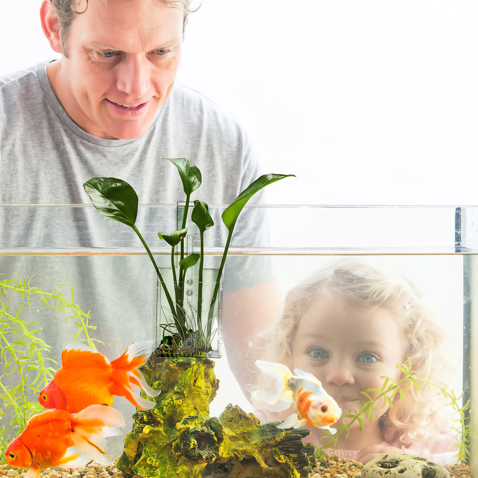 

Aquarium Plant Holder Water Plant Cup Fish Tank Decoration Aquatic Planter Grass Planter Small Hook Design Easy Install Clear