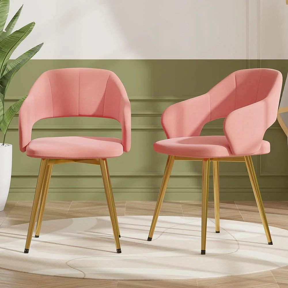 Elegant Pink Velvet Dining Chairs with Gold Metal Legs - Modern Upholstered Dining Room Chairs, (Set of 2)