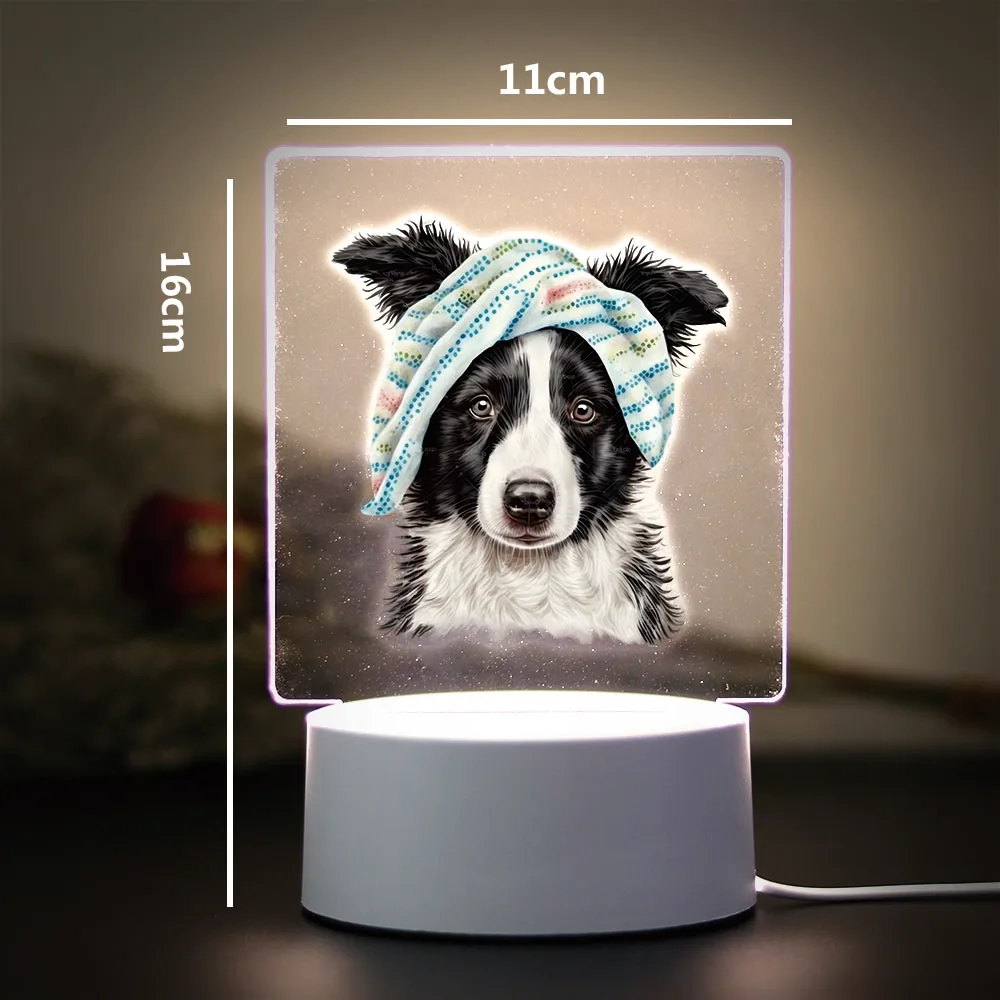 Border collie เปลี่ยนสีตารางโคมไฟสําหรับตกแต่งห้องนอนของขวัญวันเกิด Led Night Light สําหรับบ้านเด็ก Night Light