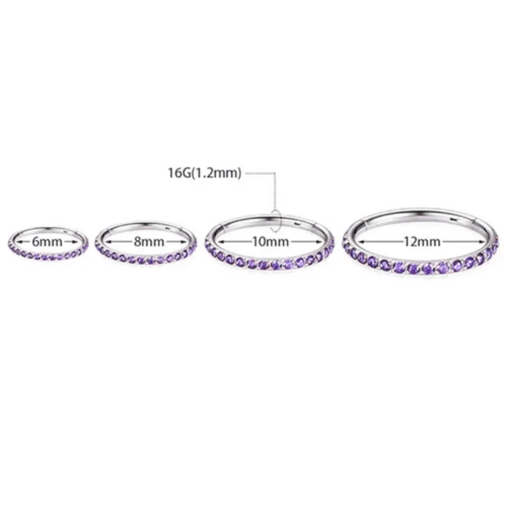 2Pcs G23 Titanium Opal Zircon Set Nose Septum Piercing Ear Tragus Conch Piercing 6-12mm Inner Ring