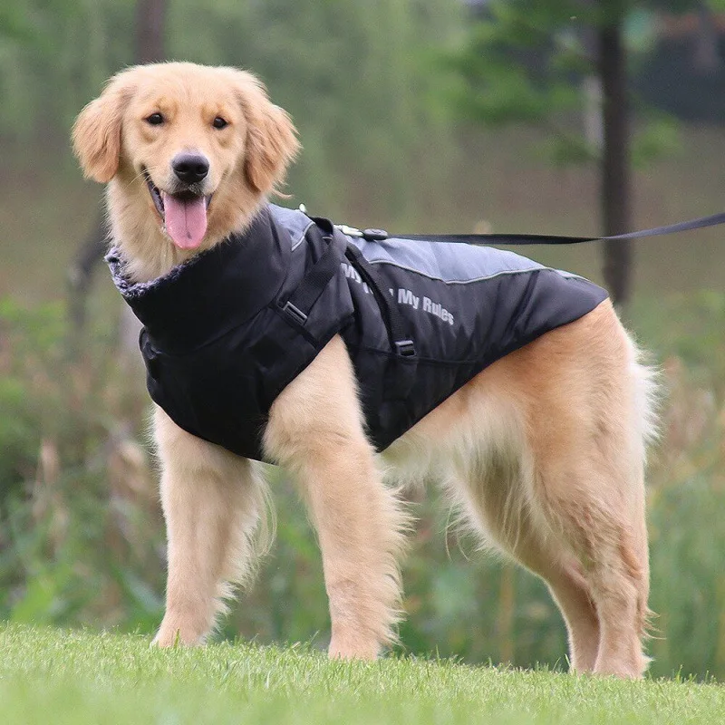 

Dog Clothes Medium and Large Dogs, Golden Retriever, Labradoodle, Multiple Styles, Fleece Lined, Thickened, Non-Stick Hair C